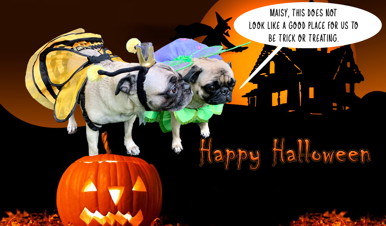 Halloween Wallpaper for Windows Computer